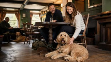 A cockapoo lying on the floor of a pub while its owners sit at the table